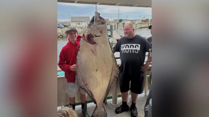 New Hampshire teen reels in 177-pound halibut, could set record