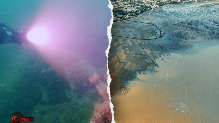 Massive underwater ruins could be evidence of Plato's lost Atlantis, researcher insists