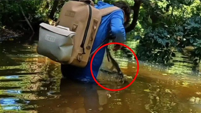 Teenager bitten by crocodile while fishing with friends south of Cairns