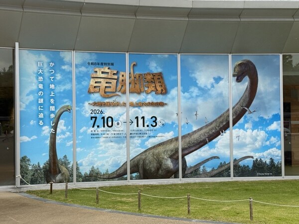 Sauropods in Katsuyama: Standing Beneath the Giants That Shook the Earth at Fukui Prefectural Dinosaur Museum