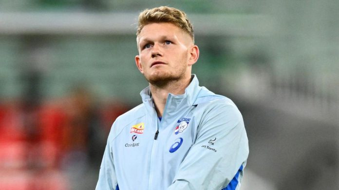 Western Bulldogs midfielder Adam Treloar’s AFL career in tatters after another calf setback