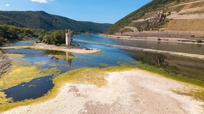 Cruises thrown into chaos as drought strands ships, leaves passengers scrambling