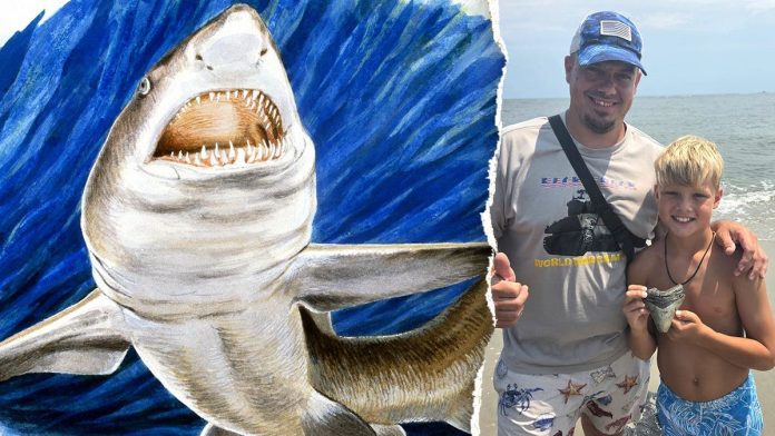 Shocking prehistoric discovery on NJ beach '100%' came from colossal ancient predator