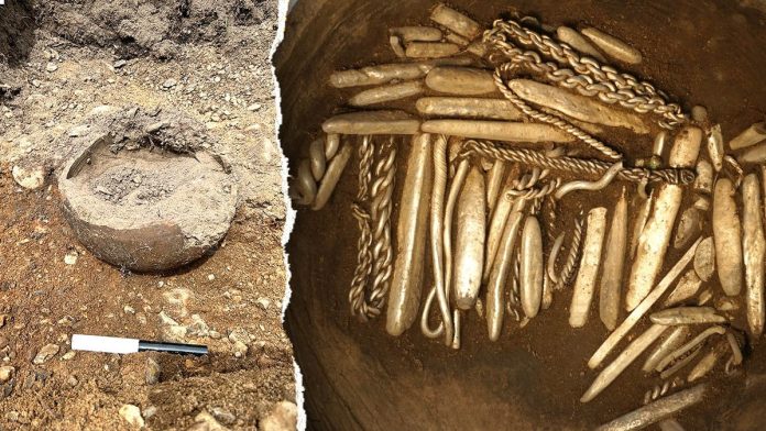 Puzzling sound in backyard leads homeowner to massive 1,000-year-old treasure